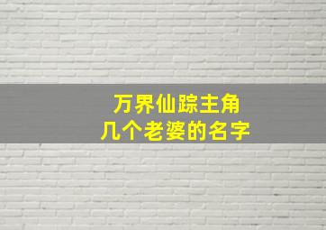 万界仙踪主角几个老婆的名字