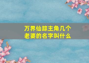 万界仙踪主角几个老婆的名字叫什么