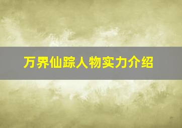 万界仙踪人物实力介绍