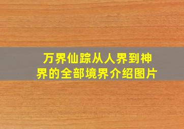 万界仙踪从人界到神界的全部境界介绍图片