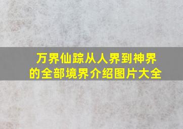 万界仙踪从人界到神界的全部境界介绍图片大全