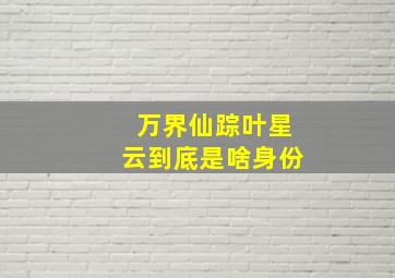 万界仙踪叶星云到底是啥身份