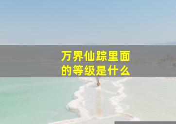 万界仙踪里面的等级是什么