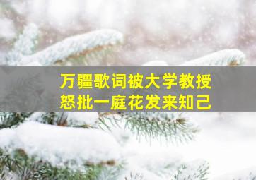 万疆歌词被大学教授怒批一庭花发来知己