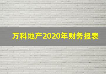 万科地产2020年财务报表