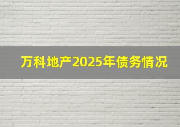 万科地产2025年债务情况