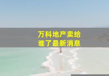 万科地产卖给谁了最新消息