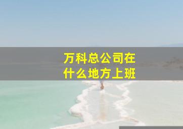 万科总公司在什么地方上班