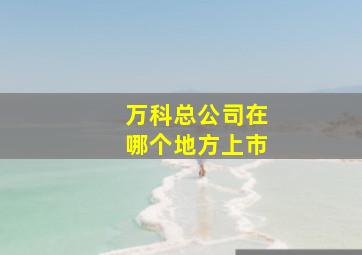 万科总公司在哪个地方上市