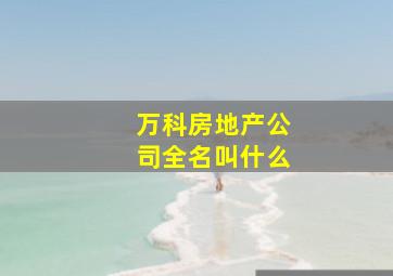 万科房地产公司全名叫什么