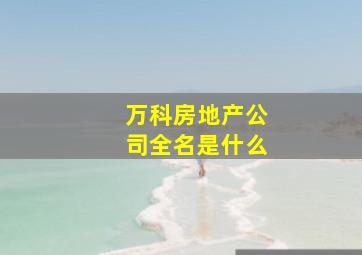 万科房地产公司全名是什么