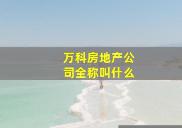 万科房地产公司全称叫什么