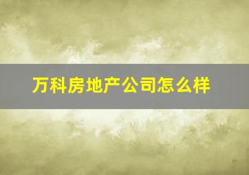 万科房地产公司怎么样