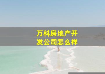 万科房地产开发公司怎么样