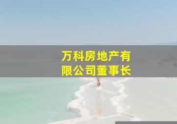 万科房地产有限公司董事长