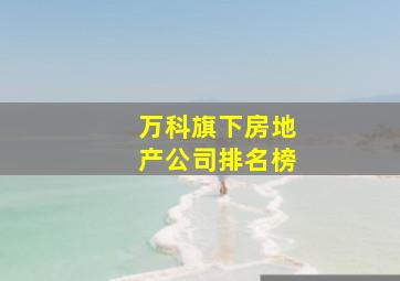 万科旗下房地产公司排名榜