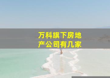 万科旗下房地产公司有几家