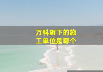 万科旗下的施工单位是哪个