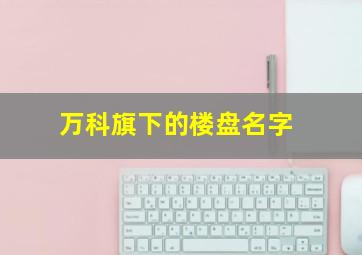 万科旗下的楼盘名字