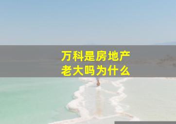 万科是房地产老大吗为什么