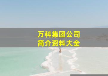 万科集团公司简介资料大全