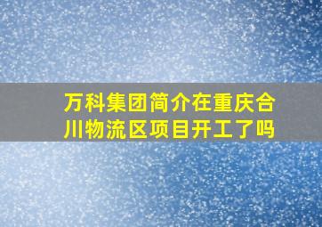 万科集团简介在重庆合川物流区项目开工了吗