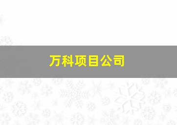 万科项目公司