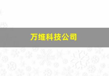 万维科技公司