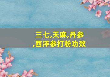 三七,天麻,丹参,西洋参打粉功效