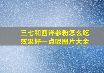 三七和西洋参粉怎么吃效果好一点呢图片大全