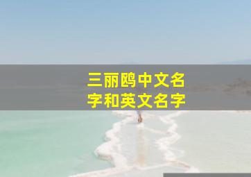 三丽鸥中文名字和英文名字