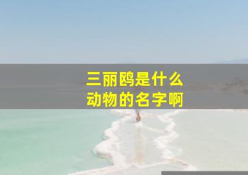 三丽鸥是什么动物的名字啊