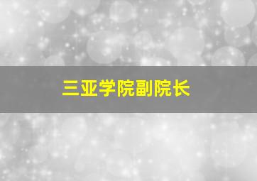 三亚学院副院长