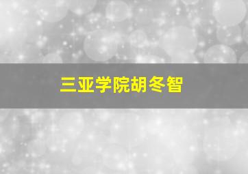 三亚学院胡冬智