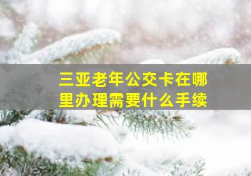 三亚老年公交卡在哪里办理需要什么手续