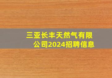 三亚长丰天然气有限公司2024招聘信息