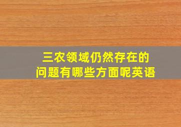 三农领域仍然存在的问题有哪些方面呢英语