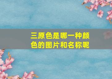 三原色是哪一种颜色的图片和名称呢