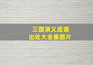 三国演义成语出处大全集图片