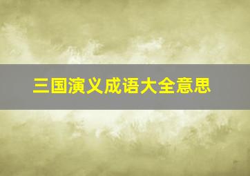 三国演义成语大全意思