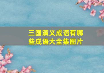 三国演义成语有哪些成语大全集图片