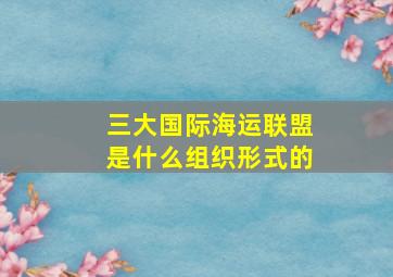 三大国际海运联盟是什么组织形式的