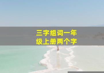 三字组词一年级上册两个字