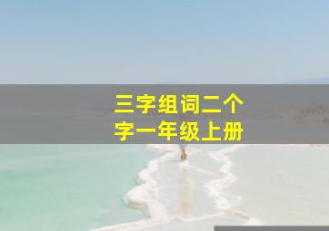 三字组词二个字一年级上册