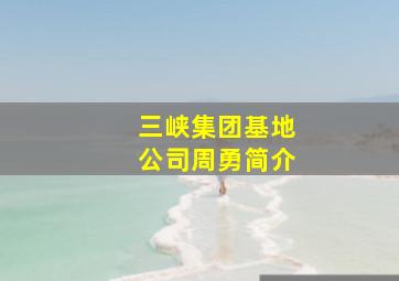 三峡集团基地公司周勇简介