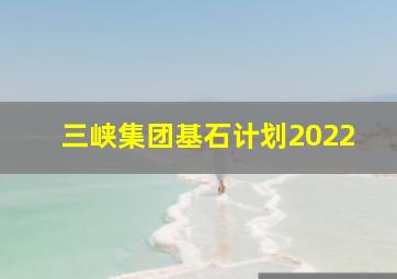 三峡集团基石计划2022