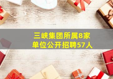 三峡集团所属8家单位公开招聘57人