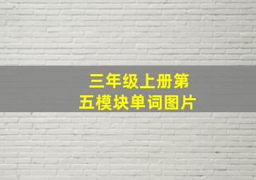 三年级上册第五模块单词图片