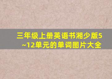 三年级上册英语书湘少版5~12单元的单词图片大全