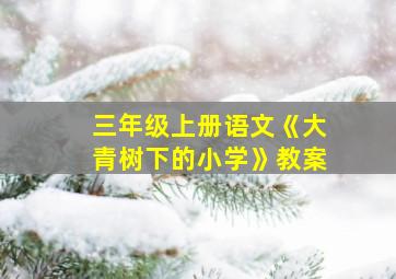 三年级上册语文《大青树下的小学》教案